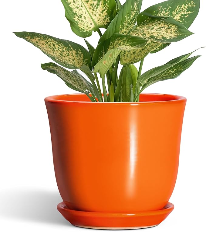 5.6 Inch Plant Pot - Ceramic Pots for Plants Indoor Outdoor, Succulent Pot with Drainage Hole and Saucer, Round Modern Flower Pots, Garden Home Room Decor, Gifts for Plant Lovers, Orange