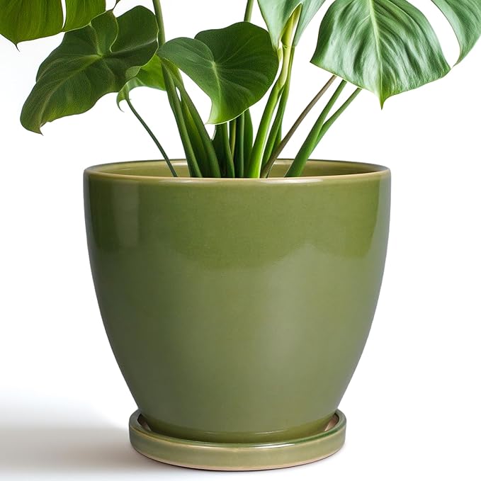 8 Inch Planter - Ceramic Plant Pot with Drainage Hole and Tray Round Planters Modern Flower Pot for Room Home Office Patio Porch Garden Decor Green