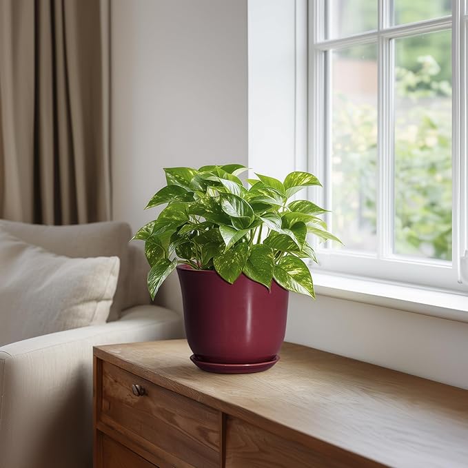 Ceramic Pots for Plants - 5.6 Inch Plant Pot for Indoor Outdoor, Round Succulent Orchid Pot with Drainage Hole and Saucer, Modern Small Planter, Window Office Desk Decor, Teacher Gifts, Red