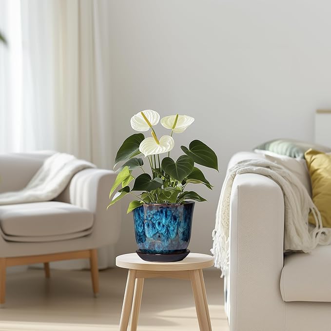 5.6 Inch Plant Pot - Ceramic Pots for Plants with Drainage Hole and Saucer, Round Succulent Flower Orchid Pot for Indoor Outdoor, Modern Planter, Home Room Decor, Gift for Plant Lover, Blue