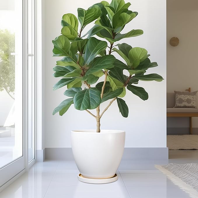 Ceramic Planter - 10 Inch Plant Pot with Drainage Hole and Tray, Flower Pot Planters for Indoor Plants, Modern Room Garden Patio Bathroom Living Room Porch Home Decor， White