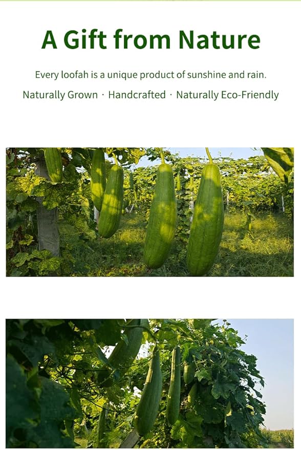 Chinese Zodiac Loofah Sponge - Biodegradable Eco-Friendly Gift, Kitchen Dishwashing Tool for Eco-Conscious Homes, 12 Animal Signs Cultural Present (Gift Box Set)