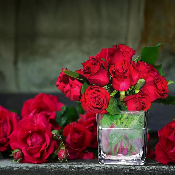 12 Pack Square Glass Vases, 3” x 3” Clear Cube Glass Flower Vases, Mini Square Glass Vases Candle Holders with Sponge Brush for Centerpieces