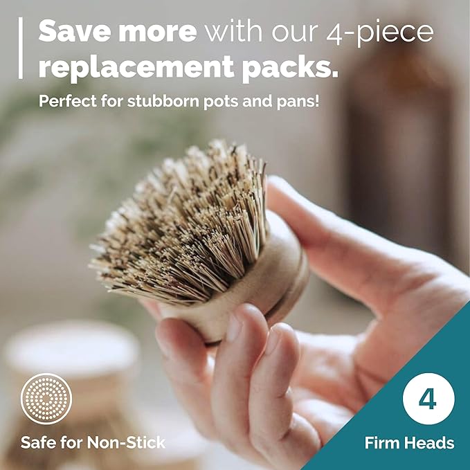 Jungle Culture Dish Brushes or Replacement Brush Heads for Eco Dish Brushes • Wooden Kitchen Washing Up Brush Heads • Interchangeable Bristle Refills • Dish Scrubbers (Firm Replacement Heads)