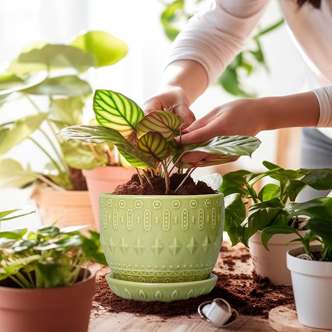 G EPGardening Ceramic Planter 5.5 Inch - Boho Plant Pot Indoor with Drainage Hole and Saucer, Round Flower Succulent Pot for Plants, Plant Lovers Gifts, Garden Office House Decor, Green