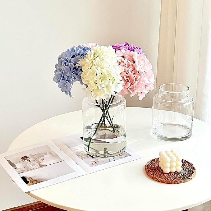 BLOFLO Clear Glass Vase, 9 Inch Large Glass Vase for Flowers, Modern Thick Glass Flower Vases for Centerpieces, Decorative Glass Cylinder Hydroponic Vase for Wedding, Home, Office (Clear, 9Inch)