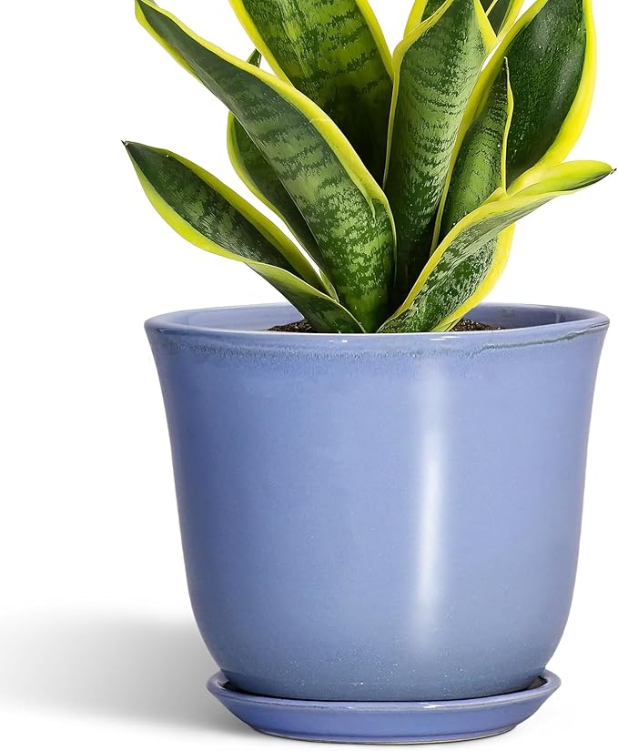 Ceramic Pots for Plants - 8 Inch Planter for Indoor Outdoor, Round Flower Pot with Drainage Hole and Saucer, Modern Planter, Home Garden Apartment Decor, Gifts for Plant Lovers, Purple-Blue