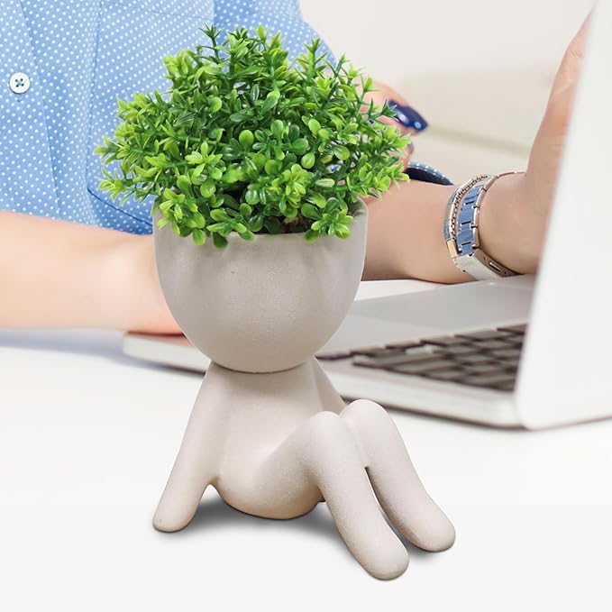 Zerzsy Fake Plants Artificial Succulents Plants for Room Bathroom Home Office Desk Accessories Decor - Set of 1