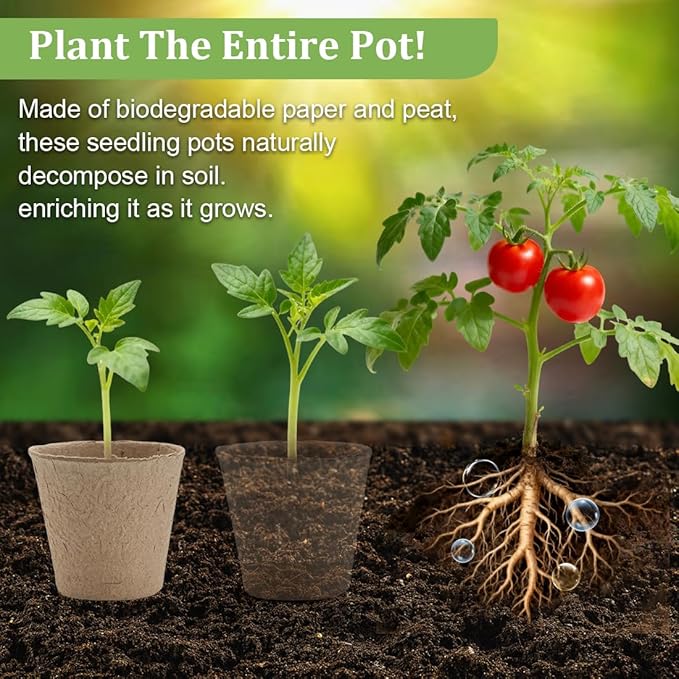3.15 Inch Peat Pots 100 Pcs with 20 Cell Seedling Trays 5 Pcs, Biodegradable Seed Starter Pots with Drainage, Reusable Nursery Tray for Seed Starting Indoor Gardening Propagation Kit 5 Sets