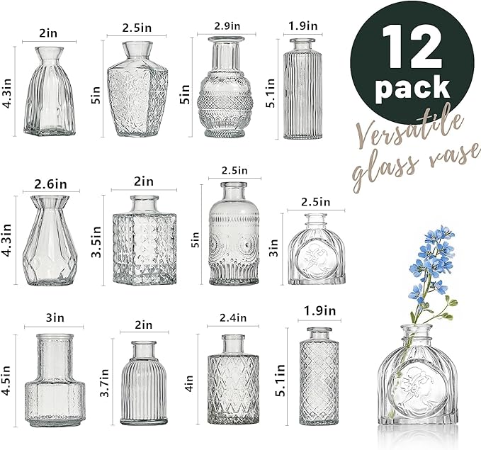 Glass Bud Vase Set of 12 Pcs Small Minimalist Vases for Flowers, Vintage Rustic Home Decor for Table Centerpiece Wedding Party, Modern Clear Aromatherapy Bottle for Living Room Bedroom