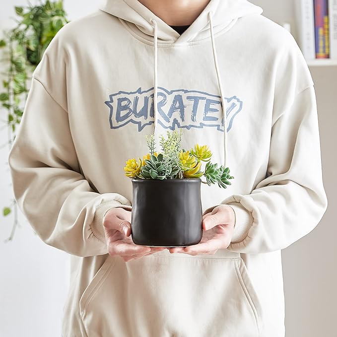 Artificial Succulents in Ceramic Pots 2 Pcs Large Fake Plants Matte Black Decor, for Desk, Bedroom, Living Room, Bathroom, Office, Bookshelf, Home Faux Decoration