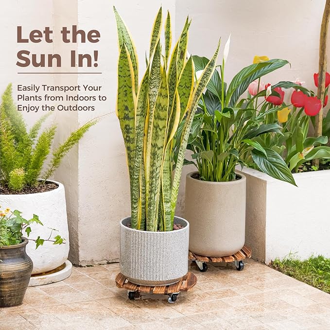 Bamworld14 Inch Wood Plant Caddy with Wheels – Heavy-Duty Plant Dolly with 240 Lbs Capacity, 360° Lockable Wheels for Large Plant Pots, Heavy Objects, Ideal for Indoor and Outdoor Use 2-Pack