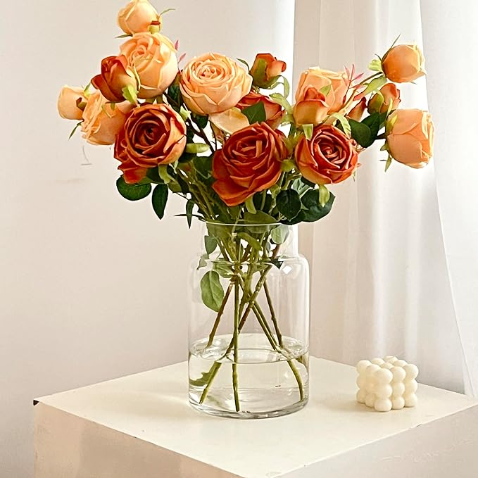 BLOFLO Clear Glass Vase, 9 Inch Large Glass Vase for Flowers, Modern Thick Glass Flower Vases for Centerpieces, Decorative Glass Cylinder Hydroponic Vase for Wedding, Home, Office (Clear, 9Inch)