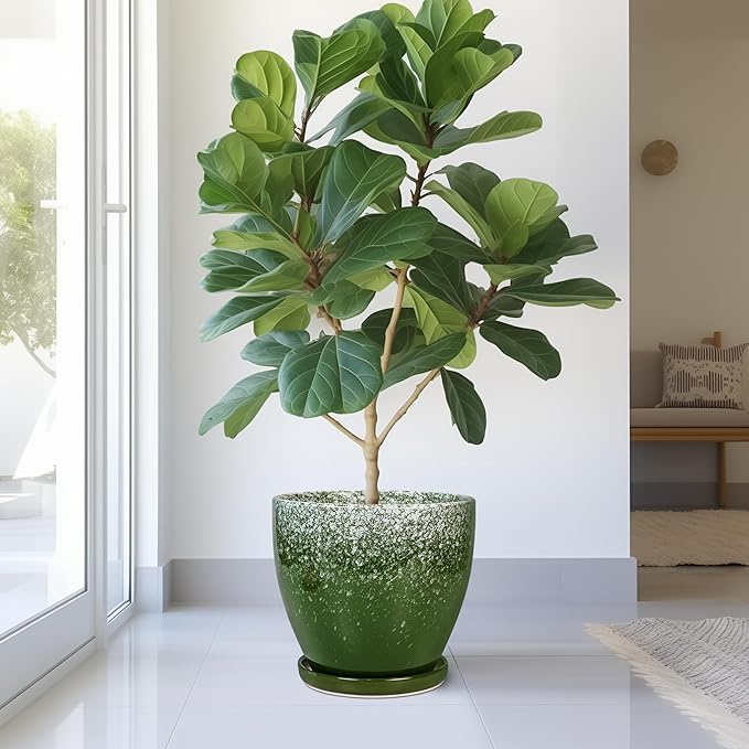 10 Inch Plant Pot - Ceramic Planters for Indoor Plants Outdoor, Large Planter with Drainage Hole and Saucer, Decorative Round Flower Pots, Garden House Decor, Gifts for Plant Lovers, Green