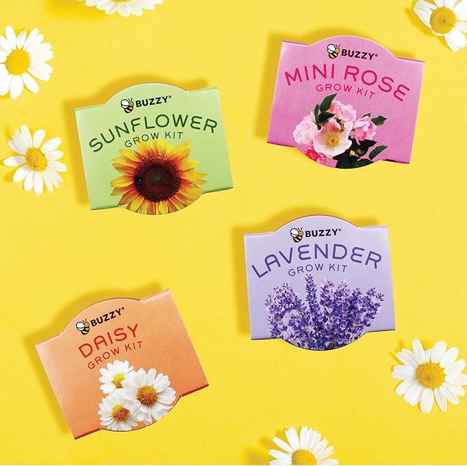 BUZZY Seeds Terracotta Mini Grow Pots | Flower Starter Kit for Kids & Adults | Assorted 12-Pack, Bright Series Collection, Daisy, Lavender, Mini Rose, Sunflower | Gardening Gift, Party Favors