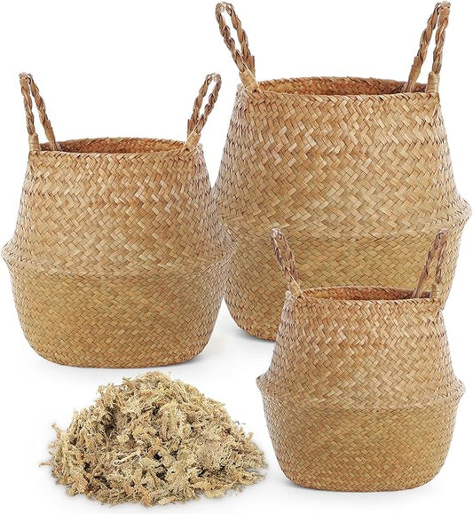 3 Pack Large Wicker Plant Basket with Handle 10 Inch Woven Seagrass Belly Basket and Artificial Moss for Plants Picnic Grocery Laundry House Storage Home Decor (Small,Medium,Large)