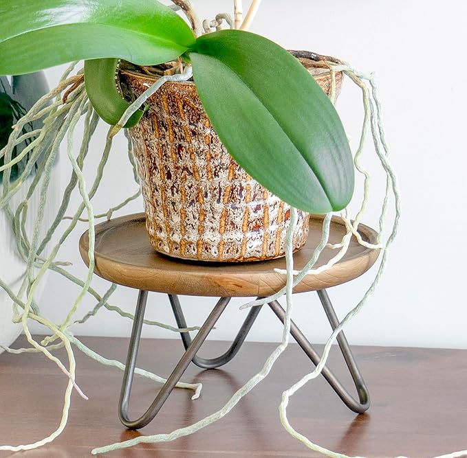Red Co. 8.75” Dia Round Decorative Wooden Pedestal Plant Stand with Metal Pin Legs, Natural Brown