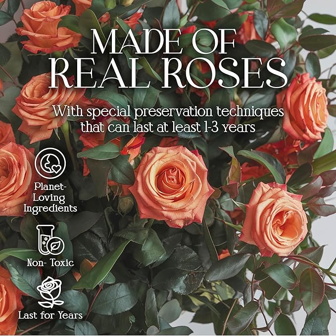 GLAMOUR BOUTIQUE 16 Flower Forever Heart Shape Box - Preserved Roses Gift for Her, Preserved Flowers, Orange