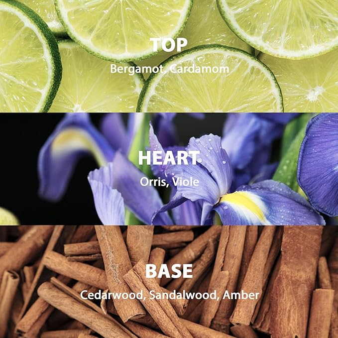 Sandalwood Amber Reed Diffuser Set, Large 9.85oz (280ml) Aroma Scented Oil Diffuser with Sticks, Long-Lasting Home Fragrance for Bedroom, Bathroom & Office Decor, Ideal Gift for Women