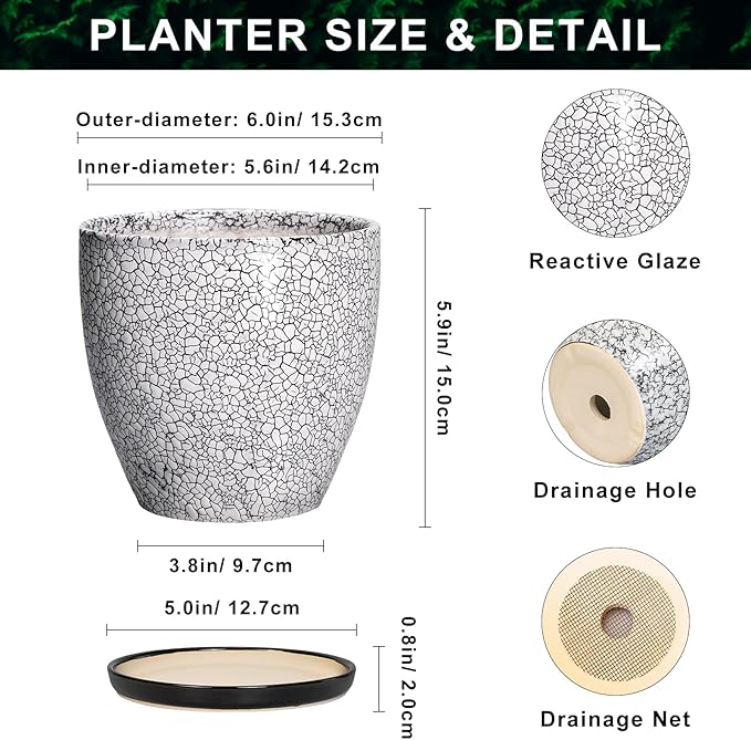Ceramic Plant Pots - 6 Inch Planters for Indoor Outdoor Plants, Round Plant Pot with Drainage Hole and Saucer, Ceramic Succulent Pots, Desk House Decor, Gardening Gifts for Women, White-Black