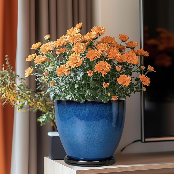 8 Inch Planter - Ceramic Plant Pot with Drainage Hole and Tray Round Planter Modern Flower Pot for Room Home Office Patio Porch Garden Decor Blue