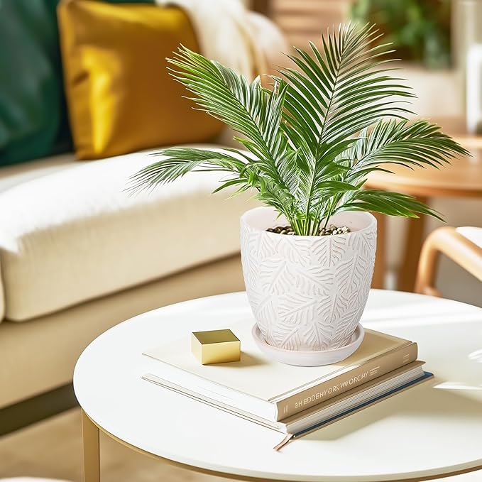 6 Inch Ceramic Plant Pots, Indoor Plant Pots with Drainage Hole & Saucer, Flower Pots, Unique Crackle Glaze Design, White Glaze - Set of 2