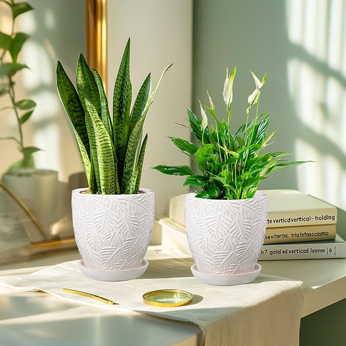 6 Inch Ceramic Plant Pots, Indoor Plant Pots with Drainage Hole & Saucer, Flower Pots, Unique Crackle Glaze Design, White Glaze - Set of 2