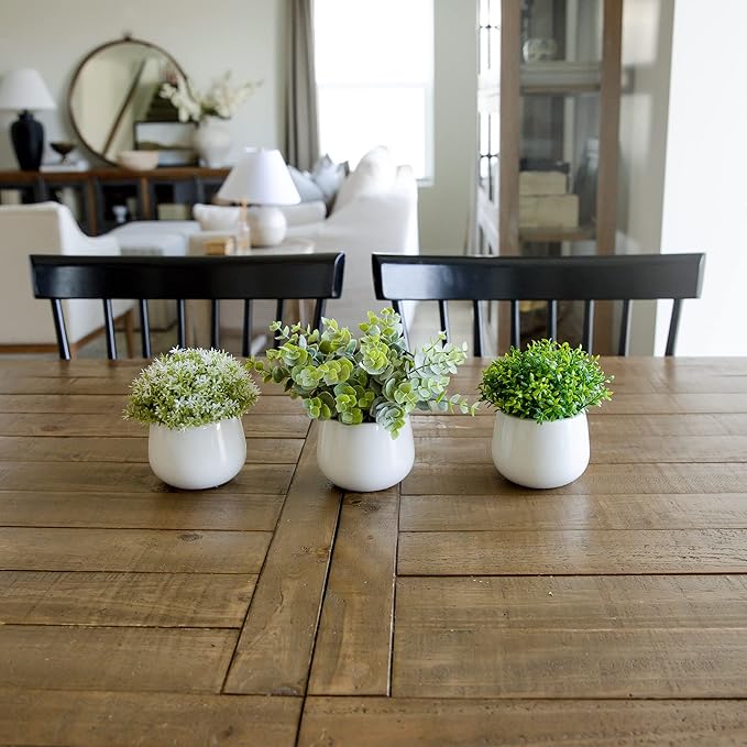 Artificial Plants for Home Decor Indoor. 4 Mini Plants, Rosemary Faux Plant Decor, Eucalyptus Plant, Grass Plants. Small Fake Shelf or Desk Greenery Décor (Ceramic-3)