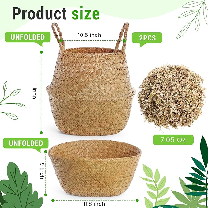 2 Pack Large Wicker Plant Basket with Handle 10 Inch Woven Seagrass Belly Basket and Artificial Moss for Plants Picnic Grocery Laundry House Storage Home Decor (Large)