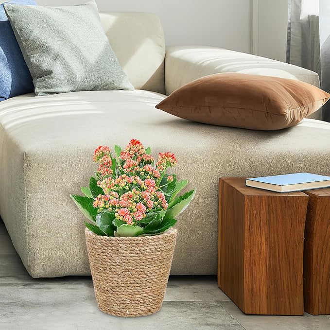 Hemoton Wicker Plant Flower Basket Seagrass Woven Pot Decorative Indoor Planter Versatile Home Storage