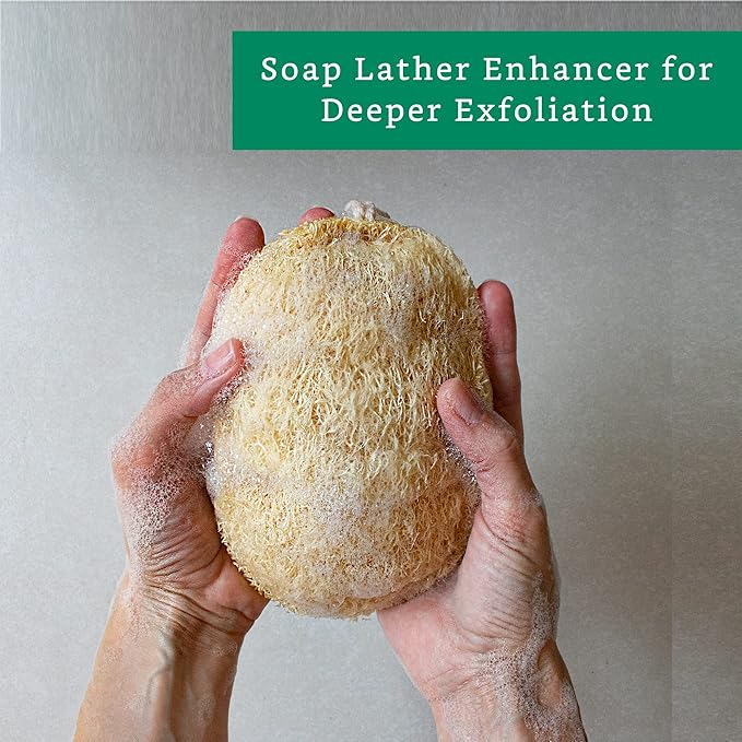 Natural Loofah Exfoliating Sponge (3 Pack) - Organic Body Scrubber - Biodegradable Shower Luffa