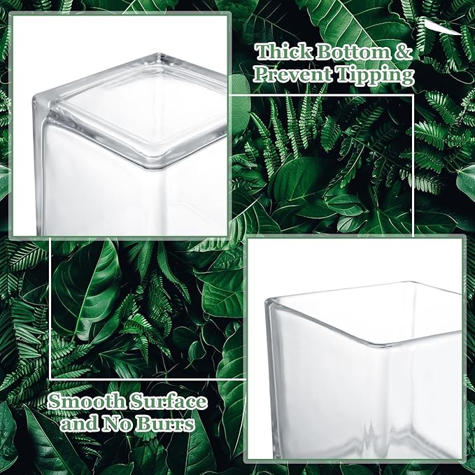 6 Pack 3 x 3 x 3 Inch Square Glass Vases, Clear Square Vases for Centerpiece, Cube Flower Vase for Candle Holder Events Wedding Party Home Decoration