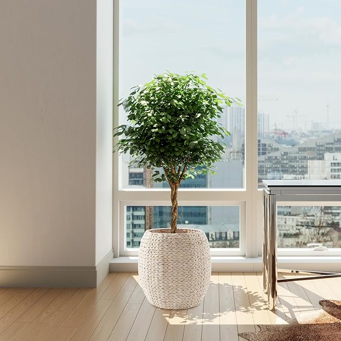 Casafield Round Storage Basket with Lid - Whitewash, Handwoven Water Hyacinth Organizer for Laundry, Blankets, Plants, Bedroom, Living Room, Home Office