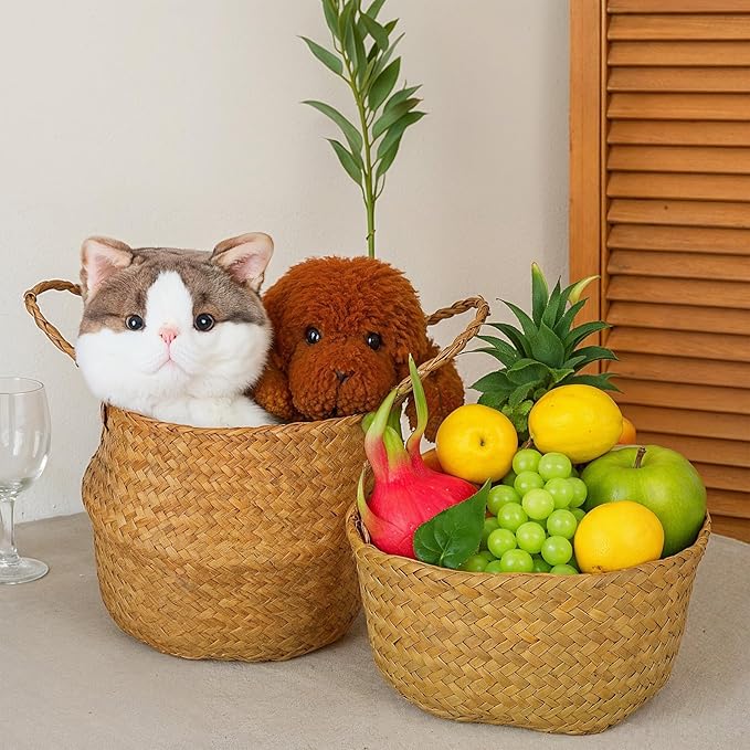 Set of 3 Woven Seagrass Belly Baskets with Handles, Natural Storage Basket Planters for Indoor Plants, Laundry, Picnic, Grocery and Home Decor