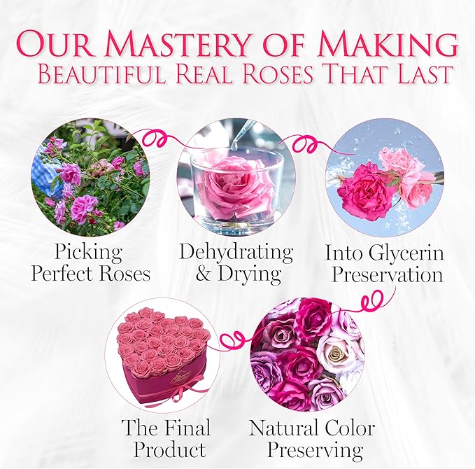 GLAMOUR BOUTIQUE 27 Flower Forever Heart Shape Box - Preserved Roses Gift for Her, Preserved Flowers, Velvet Pink