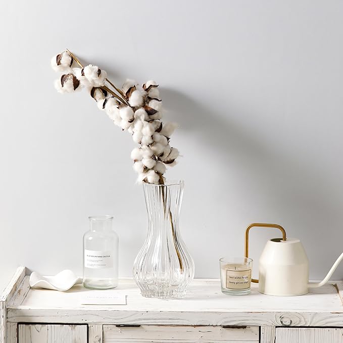 10" Decorative Modern Flower Vase for Floral Arrangements, Large Elegant Clear Glass Vase for Bouquet(Transparent) (Clear, 01)