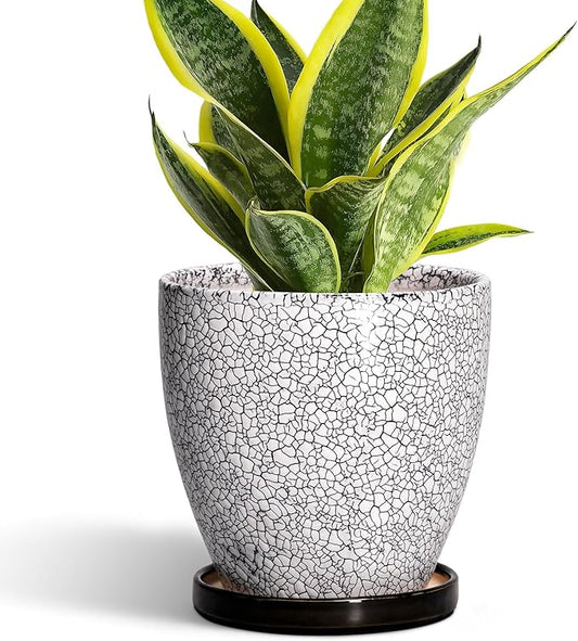 Ceramic Plant Pots - 6 Inch Planters for Indoor Outdoor Plants, Round Plant Pot with Drainage Hole and Saucer, Ceramic Succulent Pots, Desk House Decor, Gardening Gifts for Women, White-Black