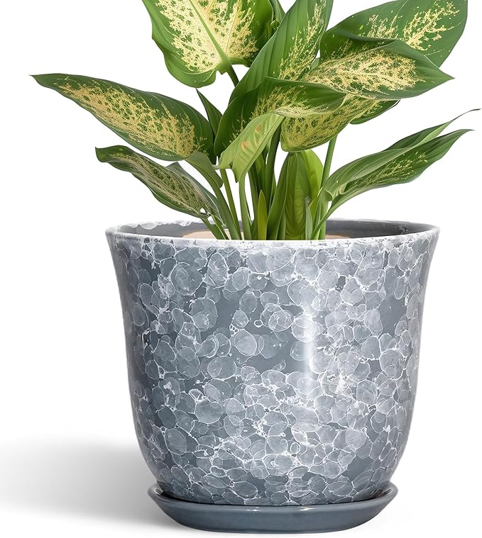 Ceramic Planter - 6 Inch Plant Pot for Indoor Outdoor, Small Plant Pots with Drainage Hole and Saucer, Modern Round Planter, Succulent Orchid Pot, Home Room Decor, Birthday Gifts, Grey