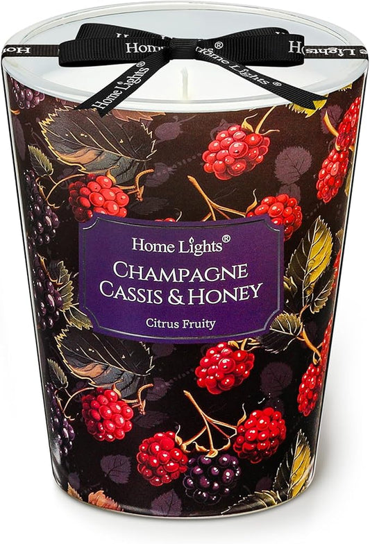 HomeLights Scented Candles for Women & Men, 6.7oz Candle Jars Aromatherapy Single Wick Candle, Ideal for Eclectic Mixed Styles Home Decor and Gifts, Champagne Cassis & Honey