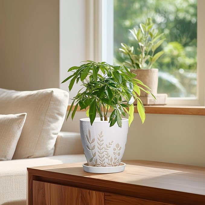 6 Inch Plant Pot with Drainage and Saucer - Small Decorative Flower Pot for Succulents Herbs Plants, Indoor Succulent Planter, Desk Office Room Home Decor, Gifts for Plant Lovers, White