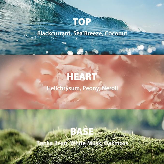 Ocean Breeze Reed Diffuser Set, Large 9.85oz (280ml) Aroma Scented Oil Diffuser with Sticks, Long-Lasting Home Fragrance for Bedroom, Bathroom & Office Decor, Ideal Gift for Women