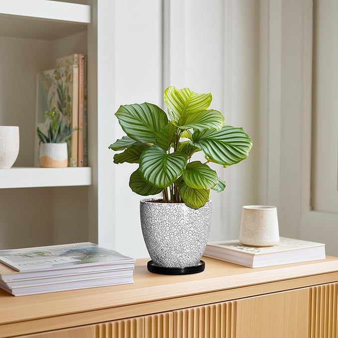 Ceramic Plant Pots - 6 Inch Planters for Indoor Outdoor Plants, Round Plant Pot with Drainage Hole and Saucer, Ceramic Succulent Pots, Desk House Decor, Gardening Gifts for Women, White-Black