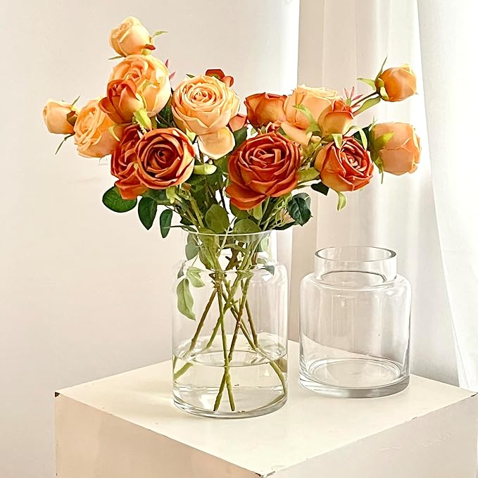 BLOFLO Clear Glass Vase, 7 Inch Large Glass Vase for Flowers, Modern Thick Glass Flower Vases for Centerpieces, Decorative Glass Cylinder Hydroponic Vase for Wedding, Home, Office (Clear, 7Inch)