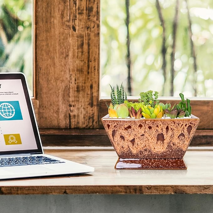 ARTKETTY Succulent Pots - 7 Inch Large Plant Pot with Drainage, Shallow Ceramic Bonsai Pots Succulent Planters for Indoor Outdoor Plants, Modern Cactus Planter Decorative Home Office