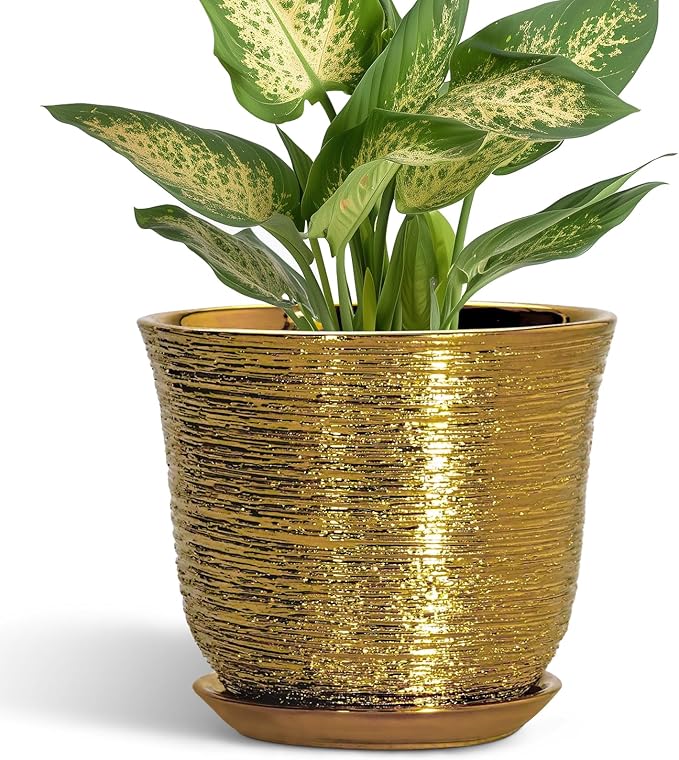 5.6 Inch Plant Pot - Ceramic Planter for Indoor Outdoor, Round Succulent Orchid Pot with Drainage Hole and Plant Saucer, Modern Decorative Planters, Living Room Decor, Gifts for Women, Gold