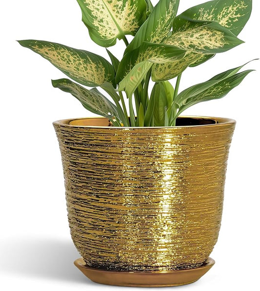 5.6 Inch Plant Pot - Ceramic Planter for Indoor Outdoor, Round Succulent Orchid Pot with Drainage Hole and Plant Saucer, Modern Decorative Planters, Living Room Decor, Gifts for Women, Gold