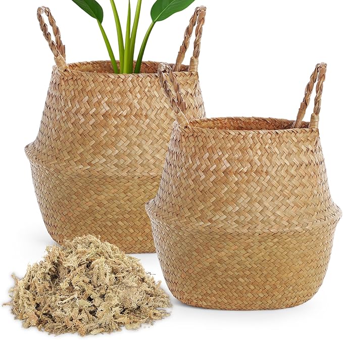 2 Pack Large Wicker Plant Basket with Handle 10 Inch Woven Seagrass Belly Basket and Artificial Moss for Plants Picnic Grocery Laundry House Storage Home Decor (Large)