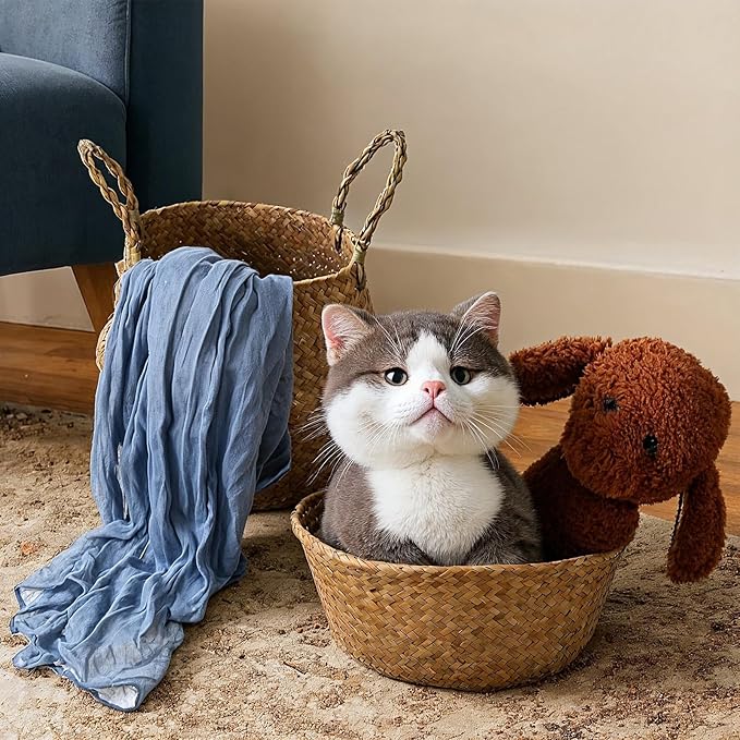 Set of 3 Woven Seagrass Belly Baskets with Handles, Natural Storage Basket Planters for Indoor Plants, Laundry, Picnic, Grocery and Home Decor