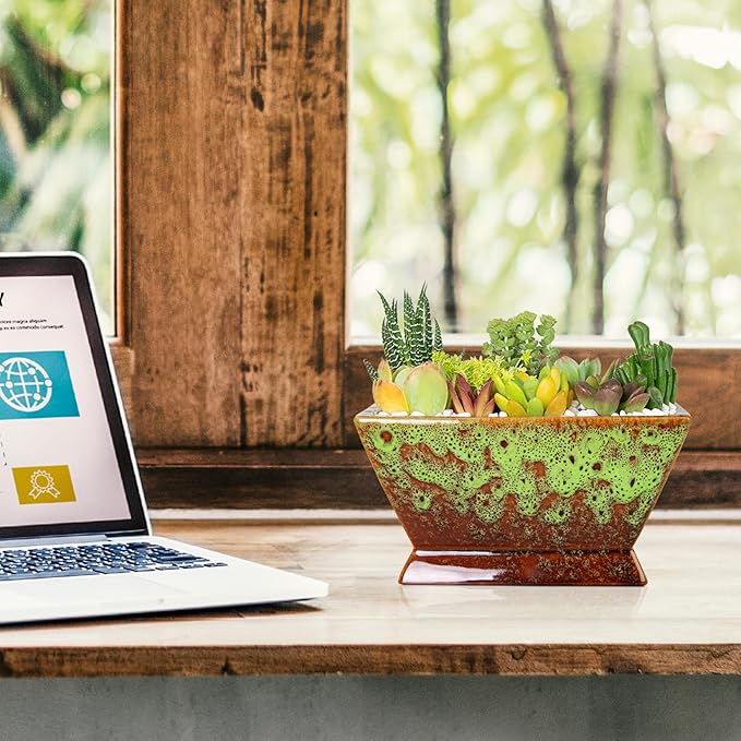 ARTKETTY Succulent Pots - 7 Inch Large Plant Pot with Drainage, Shallow Bonsai Pots Ceramic Succulent Planters for Indoor Outdoor Plants, Modern Cactus Pot Decorative Home Office