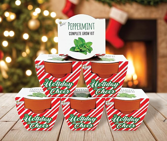 BUZZY Seeds Holiday Candy Cane Mini Terracotta Grow Pots, 6-Pack Peppermint Seeds, Indoor Plant Starter Kit, Stocking Stuffers, Party Favors Adults, for Kids